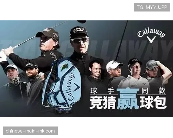 数据复盘:球员锦标赛决赛轮,关键性标on率与推杆得分决定冠军归属